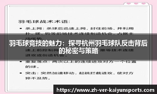 羽毛球竞技的魅力：探寻杭州羽毛球队反击背后的秘密与策略